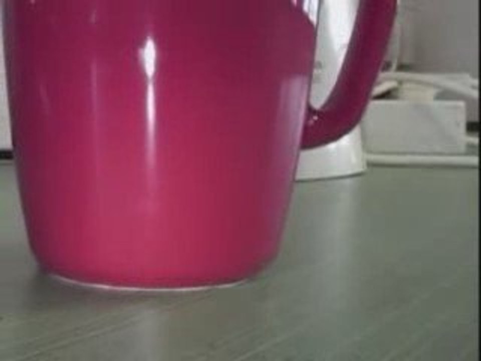 Projet cafèt' Lycée Leonard de Vinci (85)