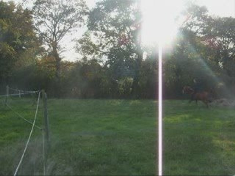 Izia & Radjah - Séance du 27 Octobre 2009