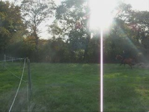 Izia & Radjah - Séance du 27 Octobre 2009