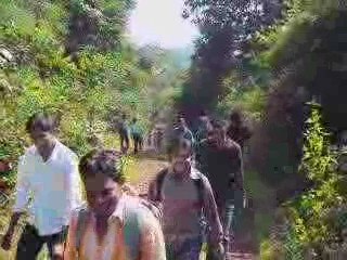 sunny & friend in picnic