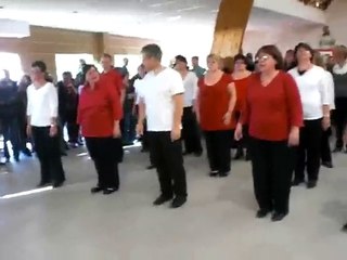 La démo de danse en ligne au forum des associations