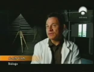 Telefono movil: Efectos sobre tejidos vivos (Alain Vian)