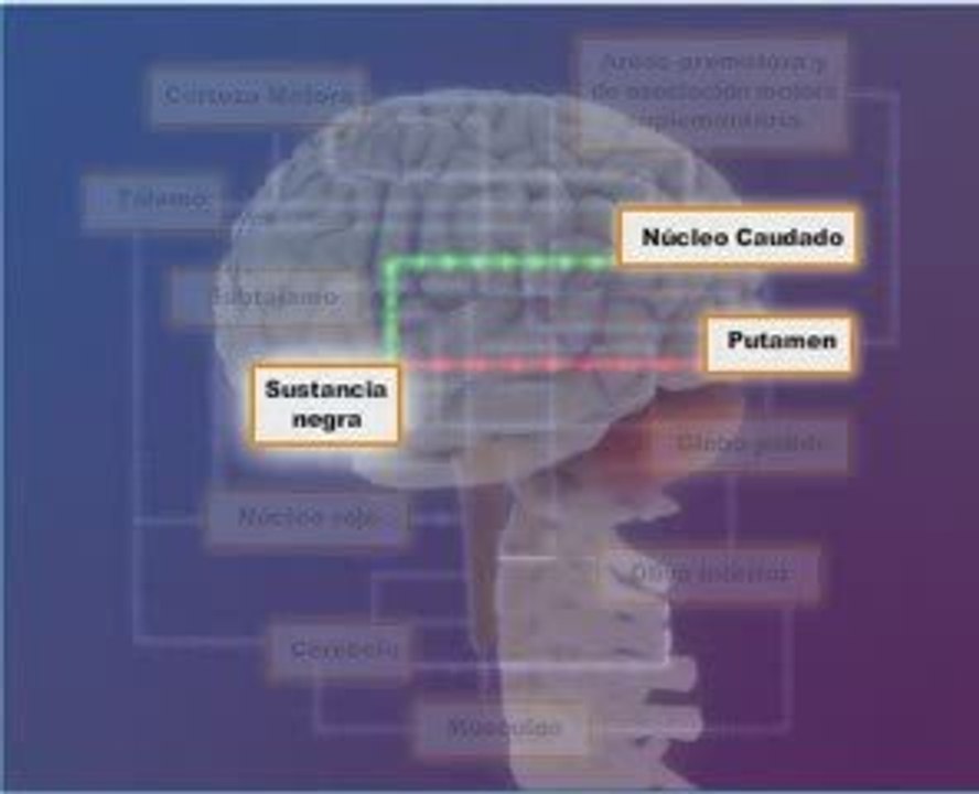 Enfermedad de parkinson: Generalidades
