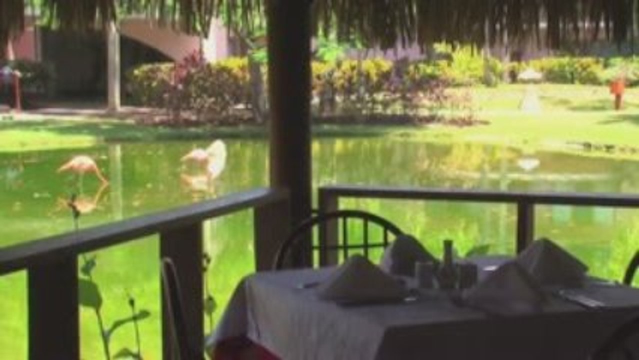 Hôtel Natura park à Punta Cana en République Dominicaine