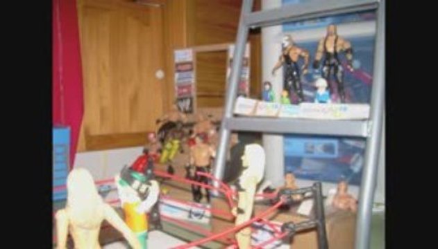 Match Titre Divas: Mickie James vs Maryse vs Michelle McCool