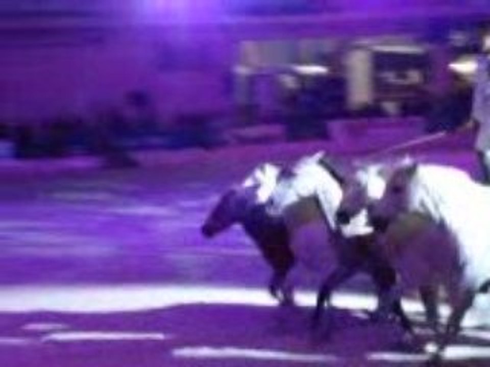 Jean-François Pignon salon Equi champ' 2009 Partie 4