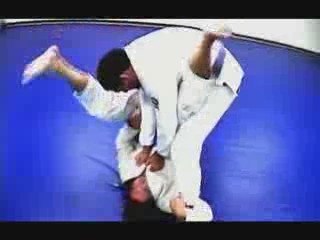 Brazilian Jiu jitsu Training