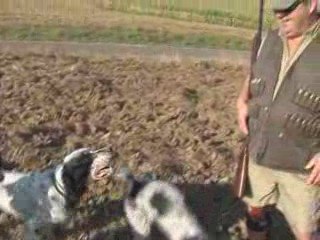 ouverture de la chasse au Cateau