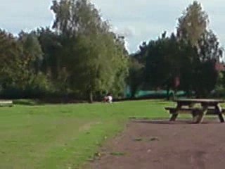 MULOT AU BOIS 2