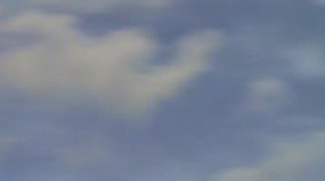 T-Rex 450 Pro 25 Octobre 09