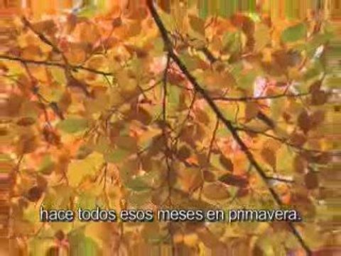 Herbalife Apertura-Extravaganza Latina 2009