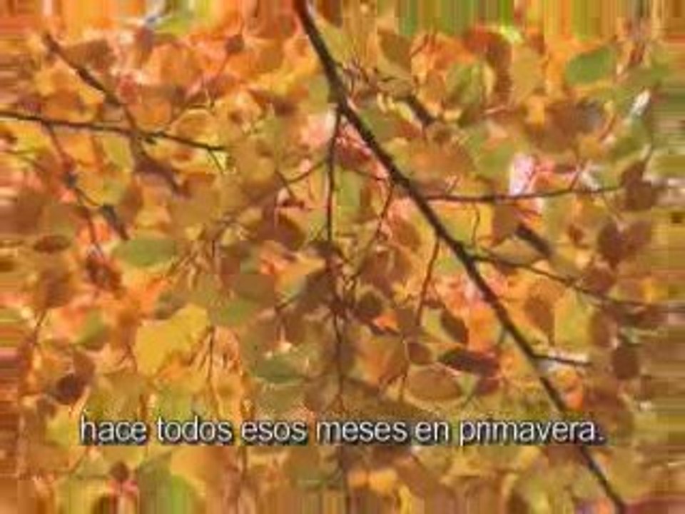 Herbalife Apertura-Extravaganza Latina 2009