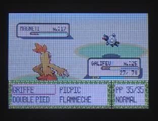 Pokemon rubis 19: un tour a vélo