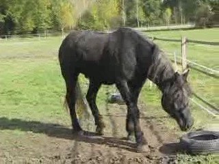 TOMY DE LA CROISIE 3