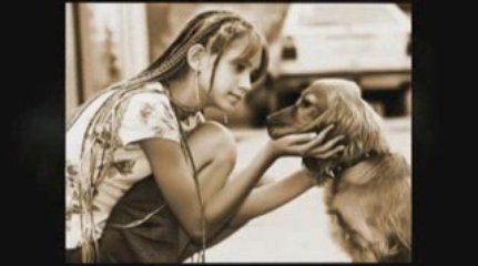 Secrets to Dog Training