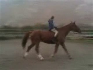 galapiat monté en liberté par Alizée