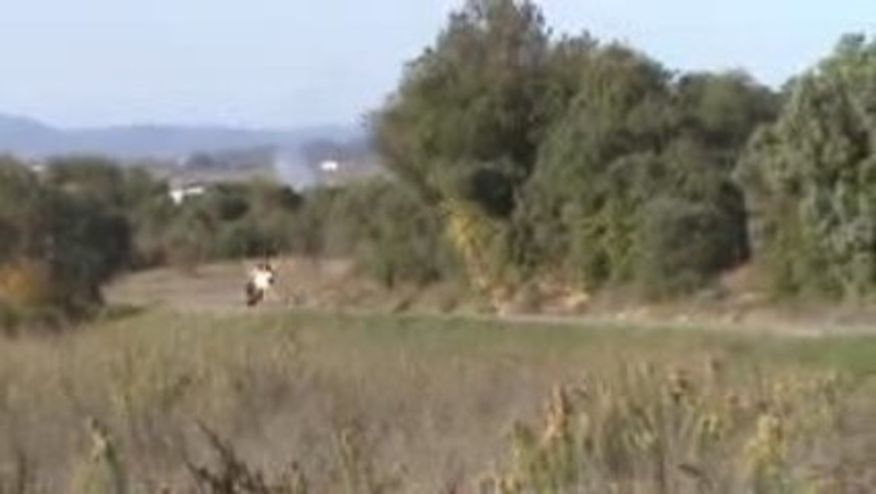 Triumph 600 Speed Four by GroZig' #2