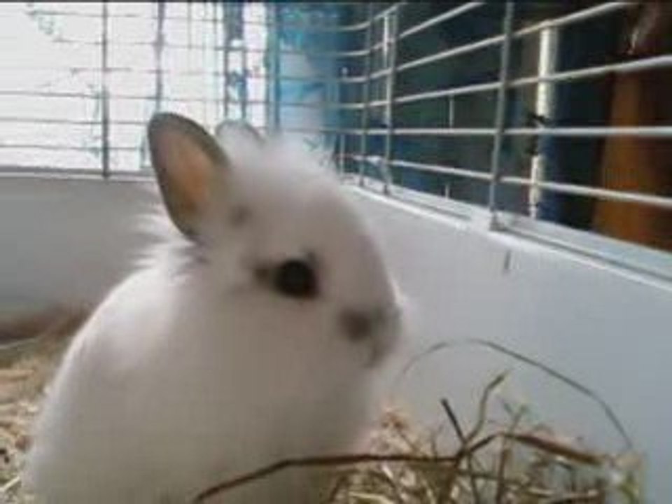 Titouu a jamais dans mon coeur ..