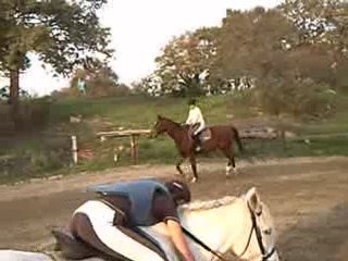 Stage obstacle avec Nonyx d'Herbiers