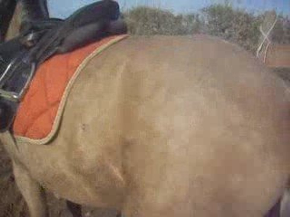 Sunka à la douche xD