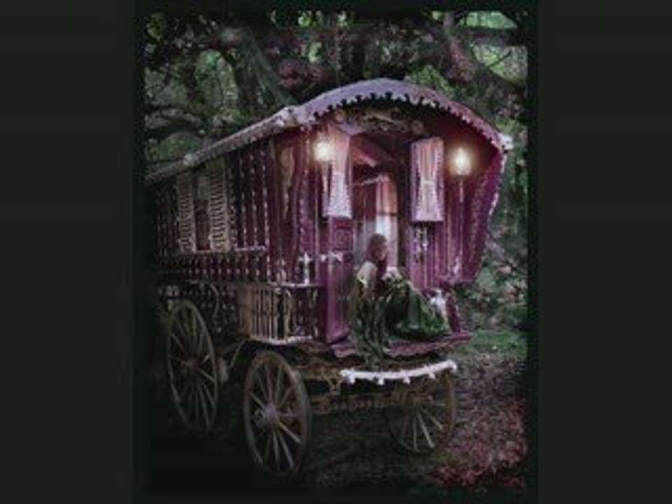 Vi ta vie gadgy une video de ginamonouche gitan  manouche