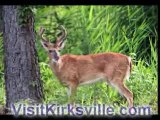 Missouri Whitetail Deer Hunting
