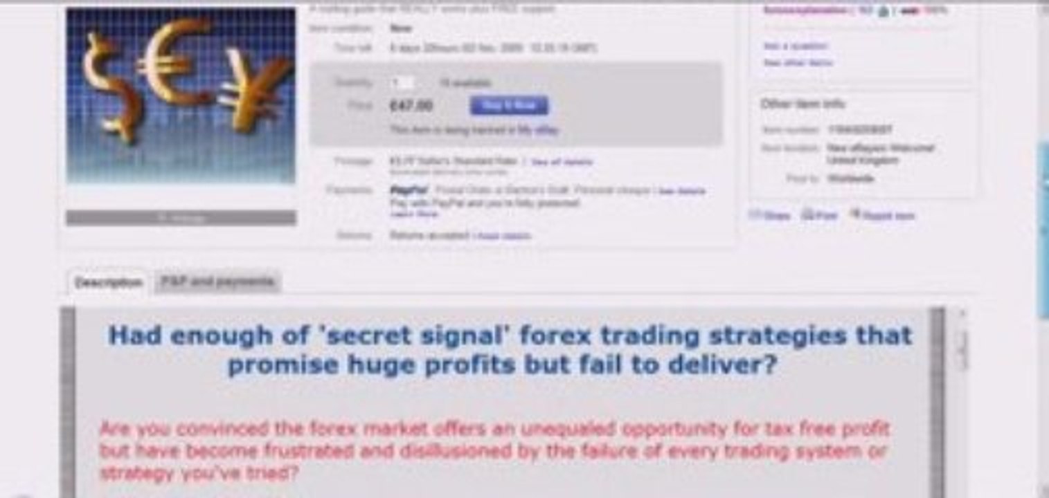 eBay and Multi Profit Websites