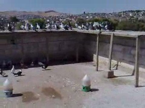 FEHMİ ATEŞ / ŞANLIURFA / SALMA ZİYARETİ