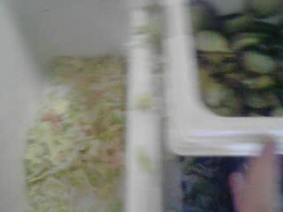 17/10/09 18h02 Jordan&jimmy => visite taf volume II