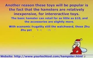 Zhu Zhu Pet Hamsters: Should You Buy This Hot-Selling Toy?