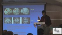 El cerebro: Dr. M. Martín Loeches