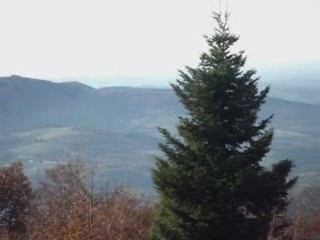 *Beauté Automnale de la Montagne Bourbonnaise^Air et Terre_*