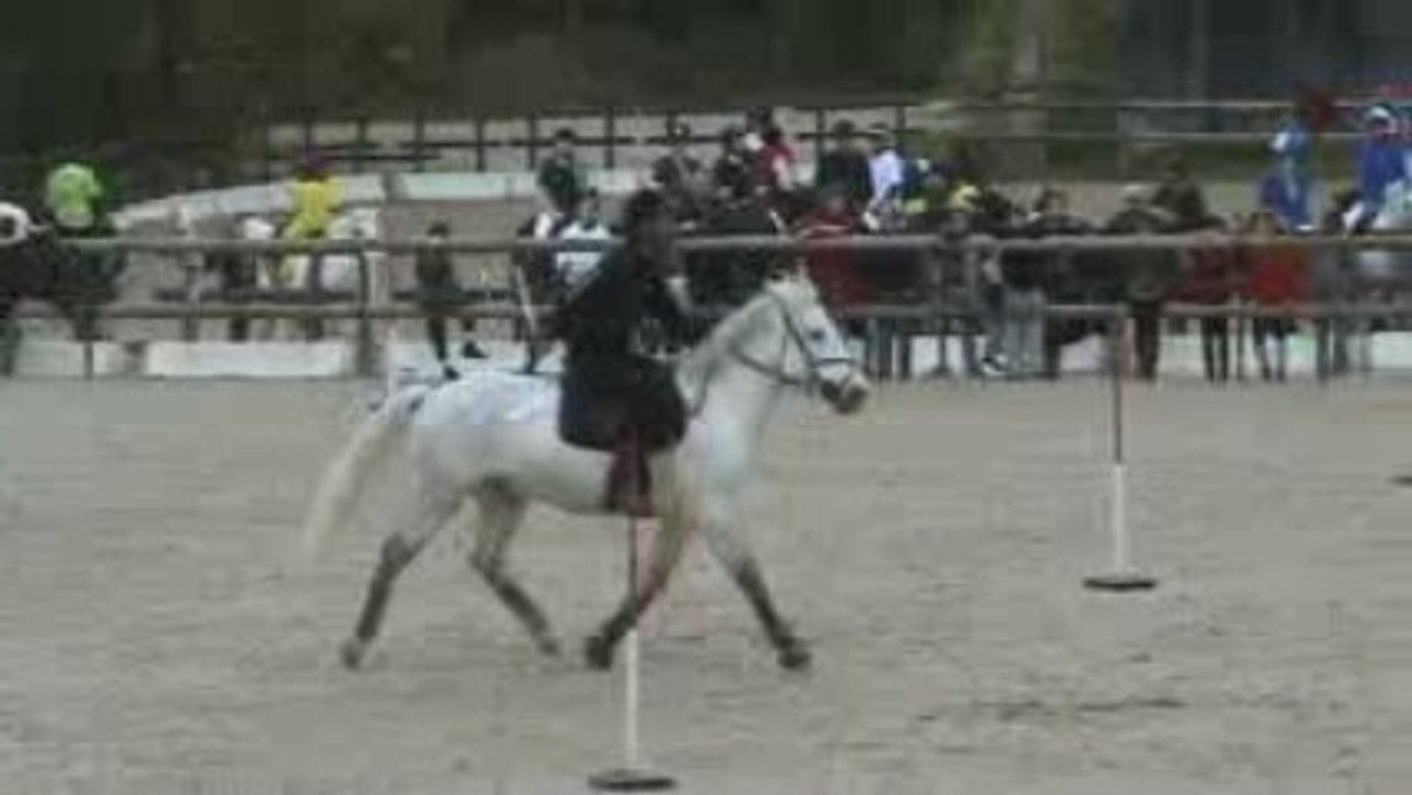 MAROLLES CRAZY FOX tiebreak  pour 2 place gagné