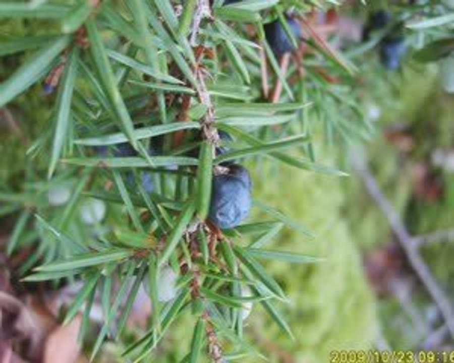visite à travers champs dans le LOT (46) autours de Gramat