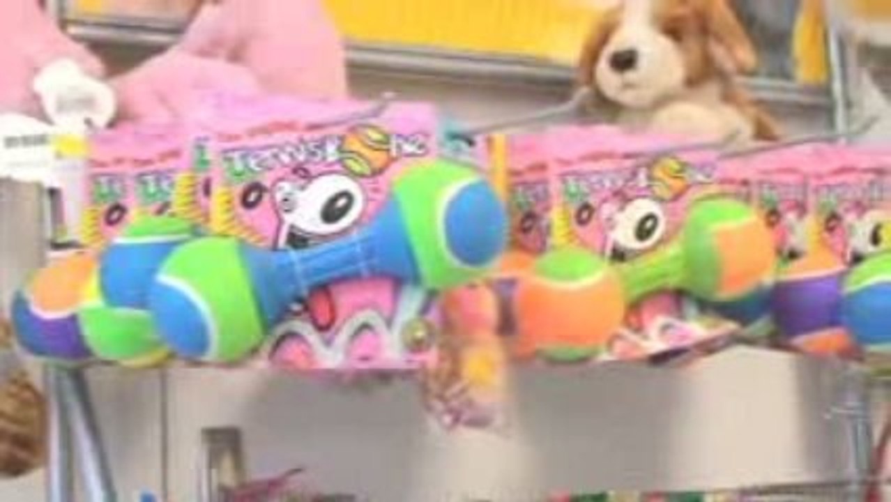 Salon de toilettage pour animaux à Coulounieix-Chamiers - Do