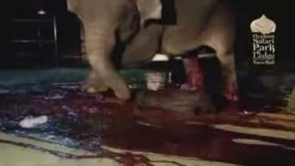 Рождение новой жизни