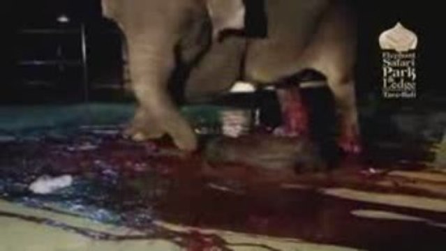 Рождение новой жизни