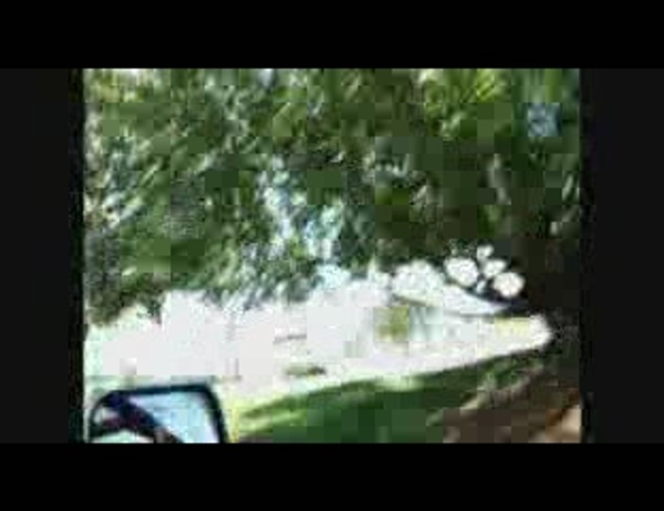 2009 Home Video #4  4