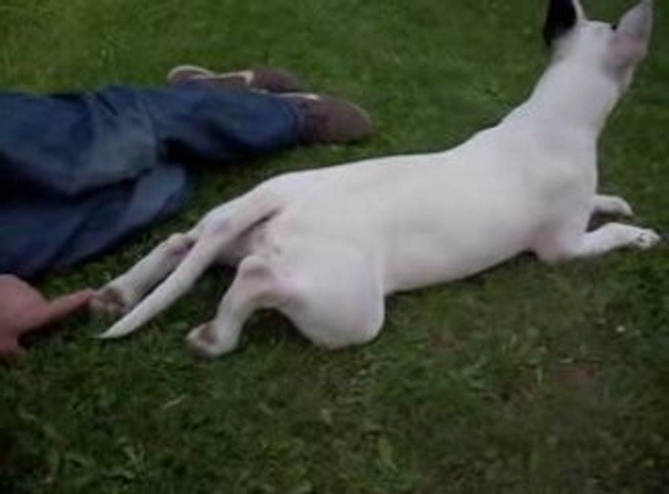 emmy aime pas les chatouilles