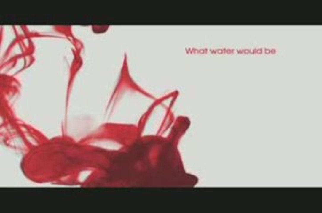 Pure Inventions_ Heart