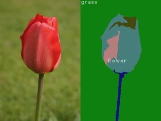 Object Segmentation And Recognition 3