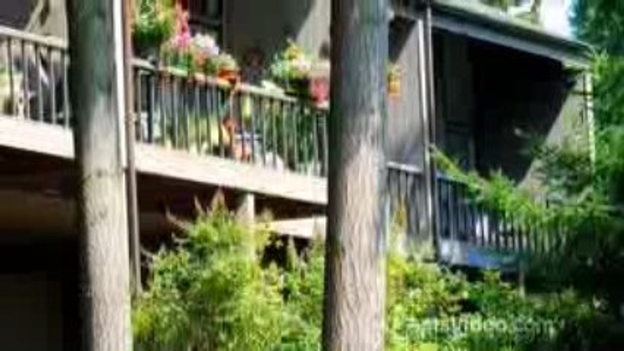 Sixty01 Apartments in Redmond, video Dailymotion