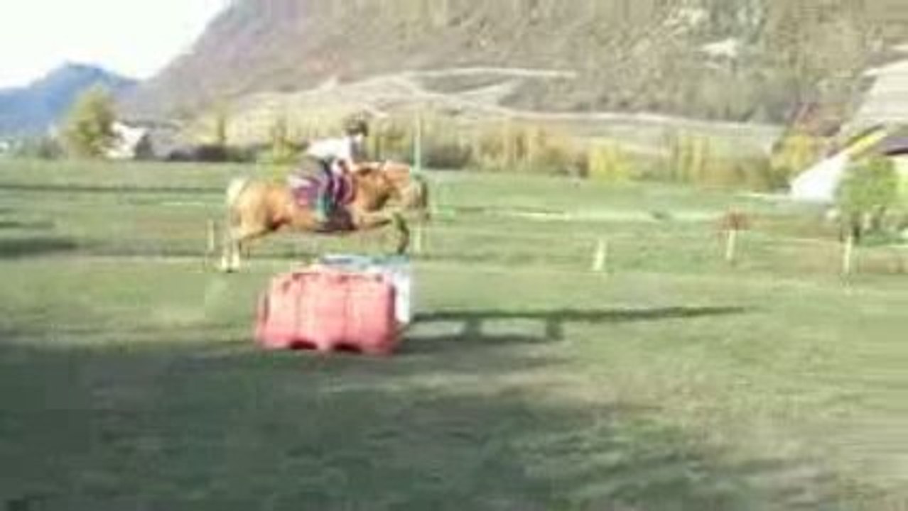 Séance d'obstacle 28 octb. Ignès
