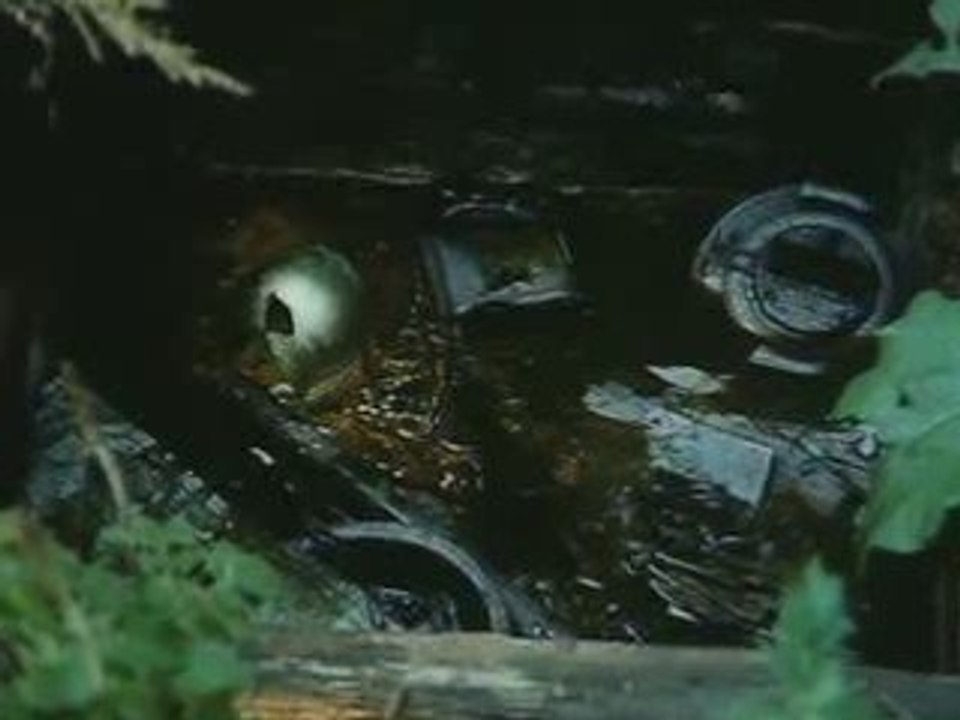 Tarkovski. Zerkalo. Finale