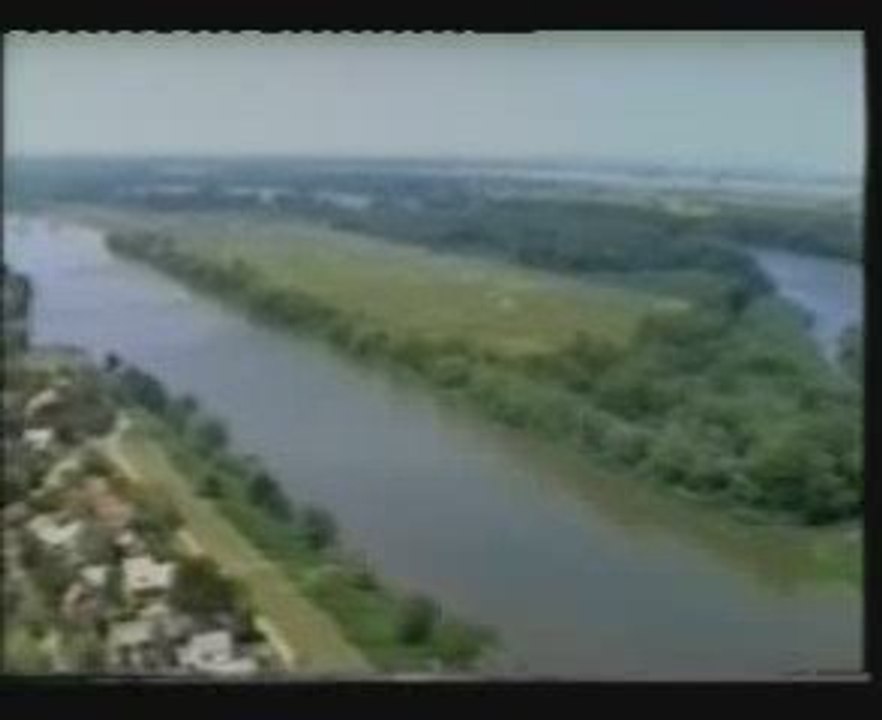 Kovács - Magyar András: Radiesztézia - Sugárérzékelés