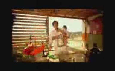 Avanak Kuzenler 2008 Fragman