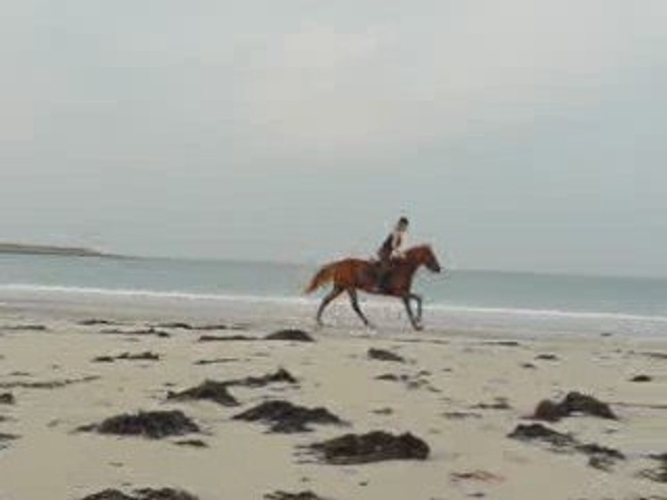 1ère sortie à la plage pour Seigneur