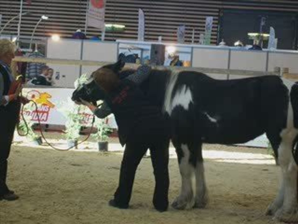 equita' Lyon