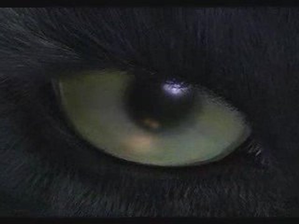 Chrono Cross - Cinématique 018