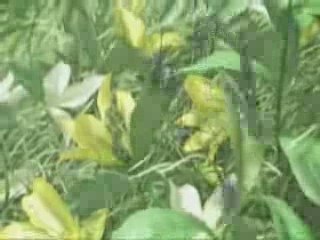 Going Under - Cloud & Zack